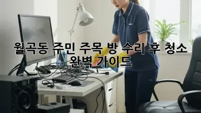 월곡동 주민 주목!✨ 방 수리 후 청소🧹 완벽 가이드